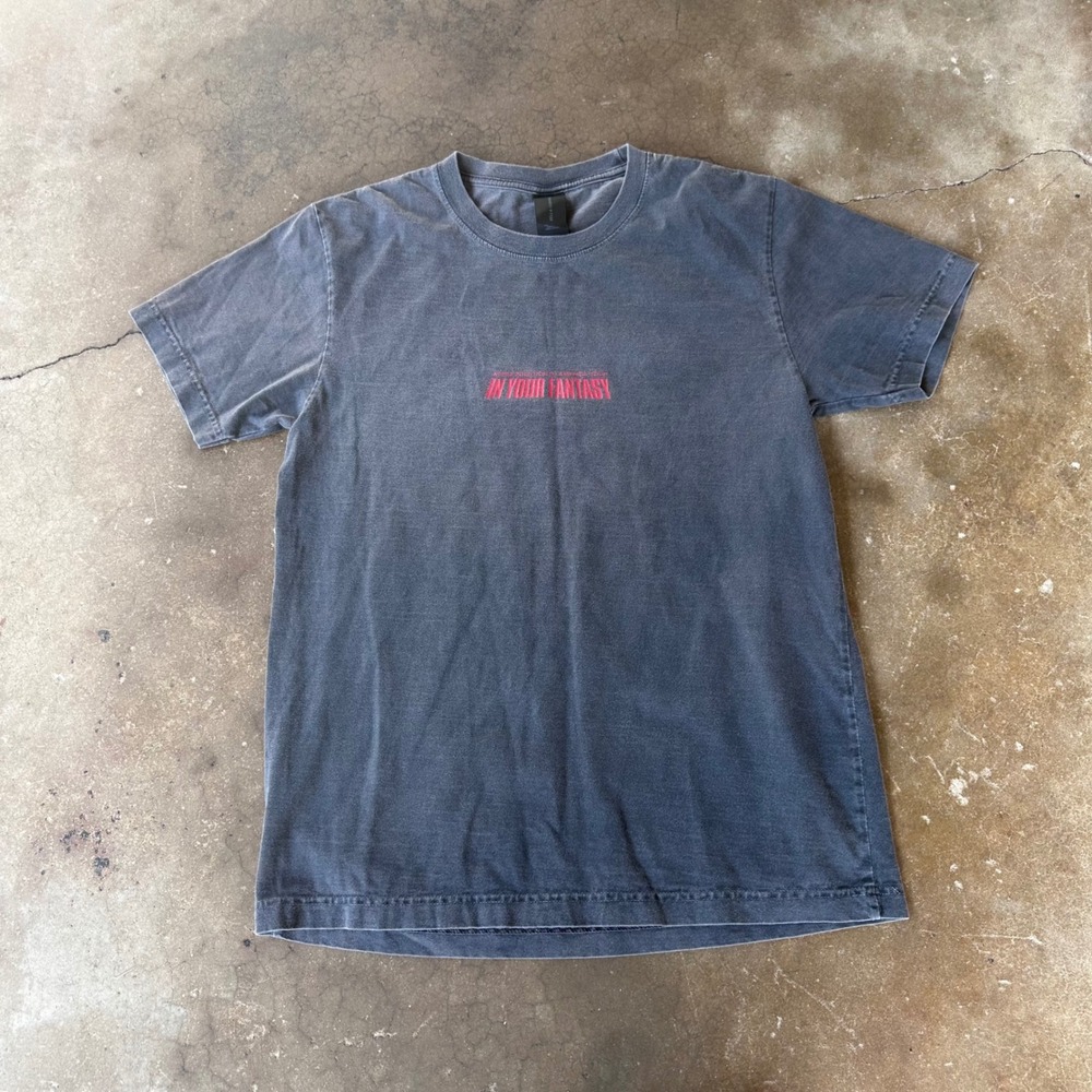 ATEEZ T-Shirt Mens Medium Gray Excellent 2025 North America Tour In Your Fantasy